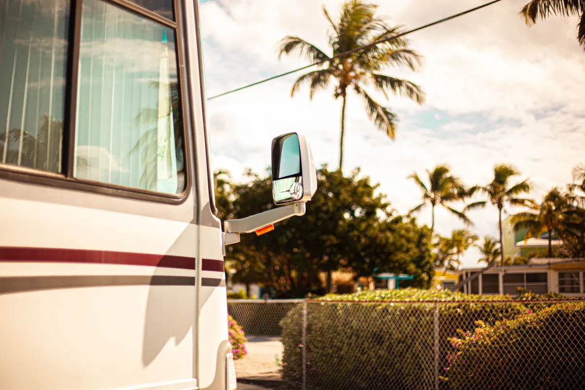 Side mirror and front section of a motorhome parked near palm trees